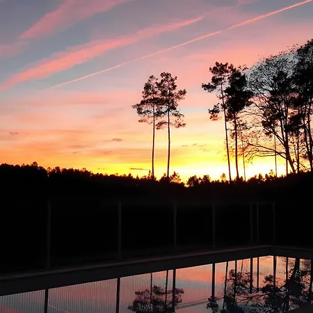 Campsite Bruyeres - Domaine Des Landes Lesperon (Landes)