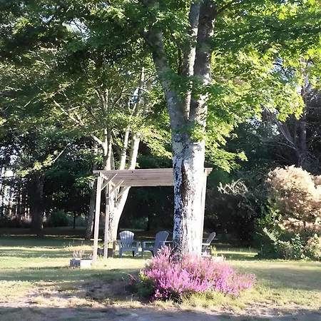 Campsite Bruyeres - Domaine Des Landes 2*